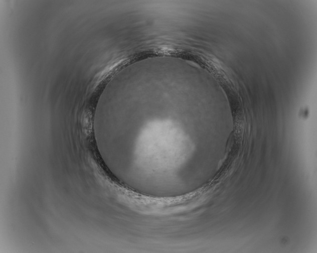 X0000091060043200708061251