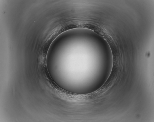 X0000091060044200708061251
