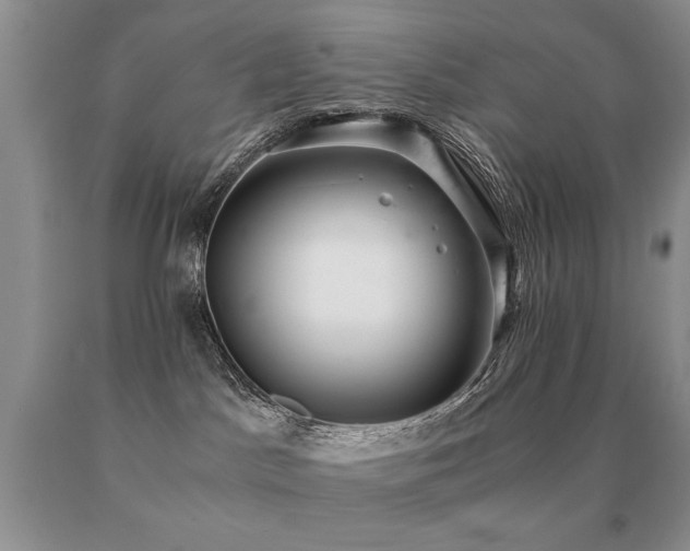 X0000091060045200708061251