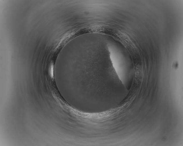 X0000091060046200708061251