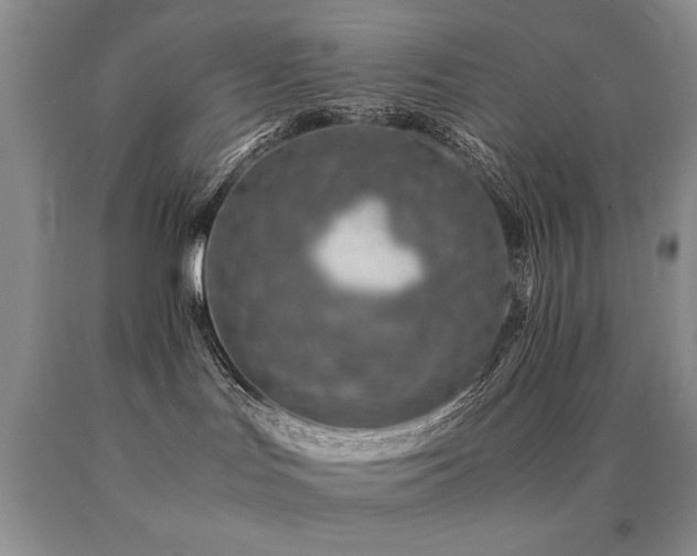 X0000091060047200708061251