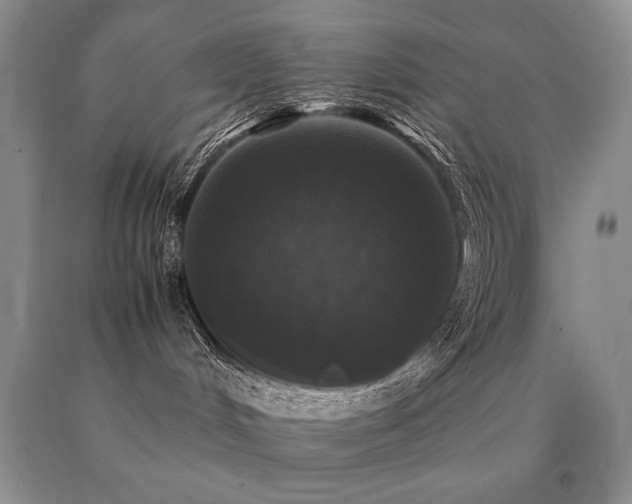 X0000091060048200708061251