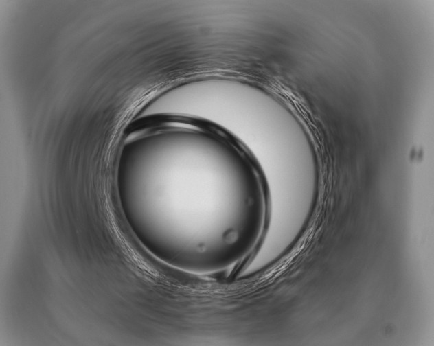 X0000091060049200708061250