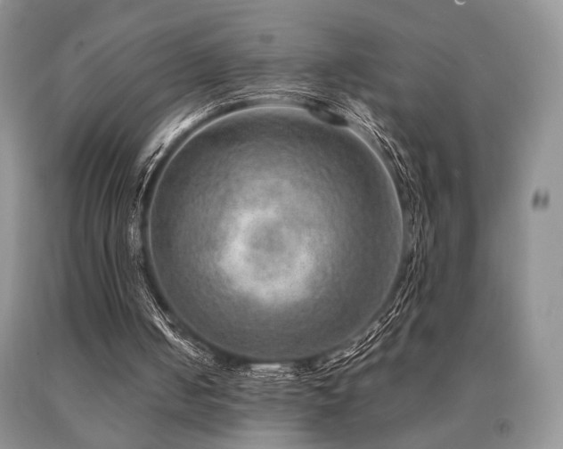 X0000091060050200708061250