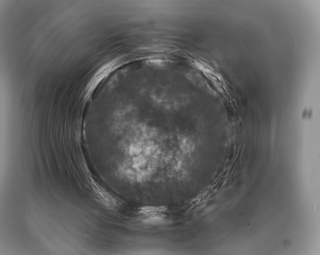 X0000091060051200708061250