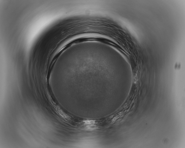 X0000091060052200708061250