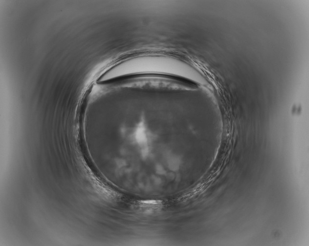 X0000091060053200708061250