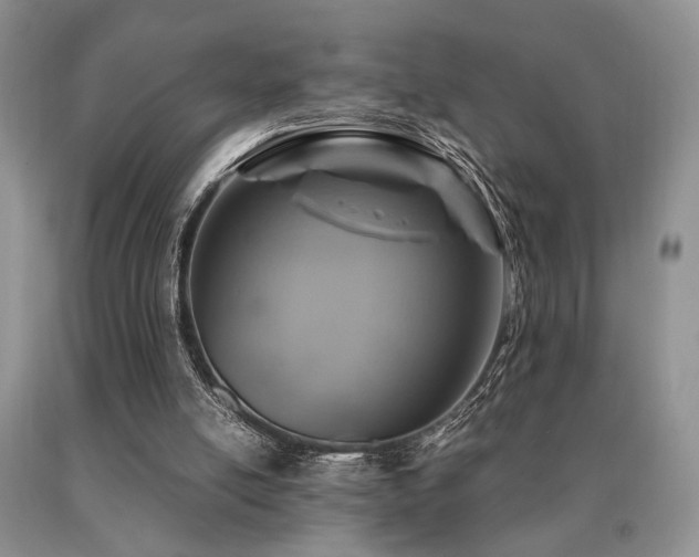 X0000091060054200708061250