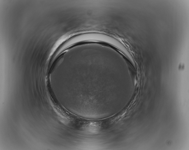 X0000091060056200708061250