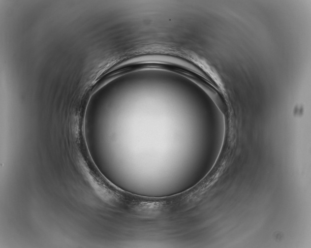 X0000091060057200708061250