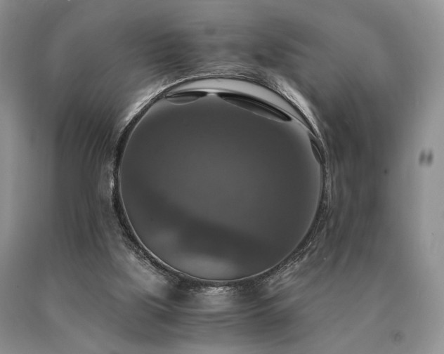 X0000091060059200708061250