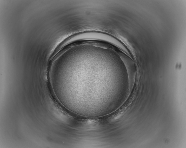 X0000091060060200708061250