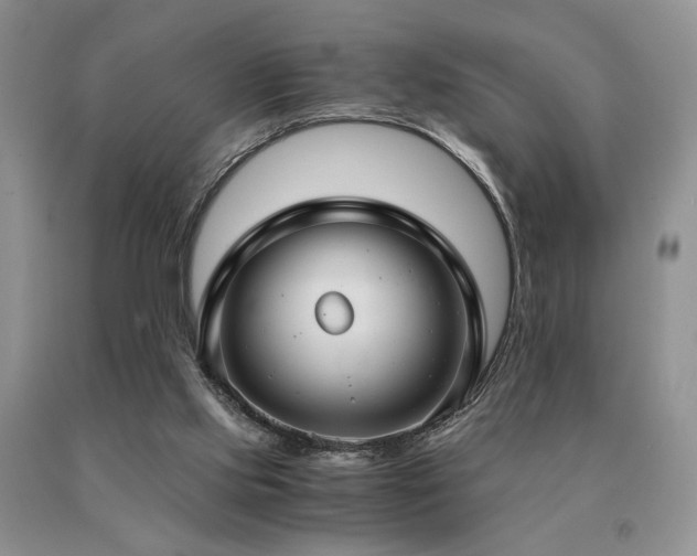 X0000091060061200708061250