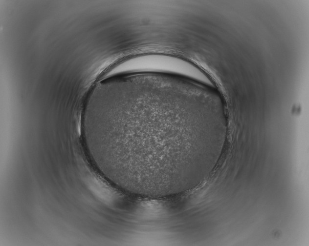 X0000091060062200708061250