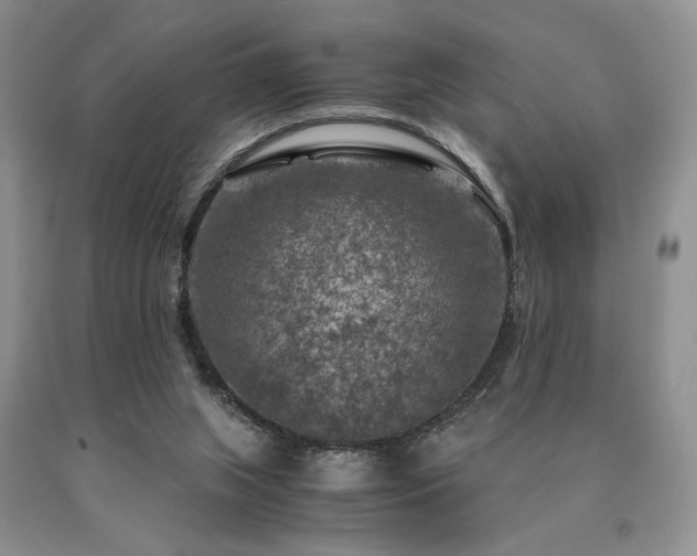 X0000091060063200708061250