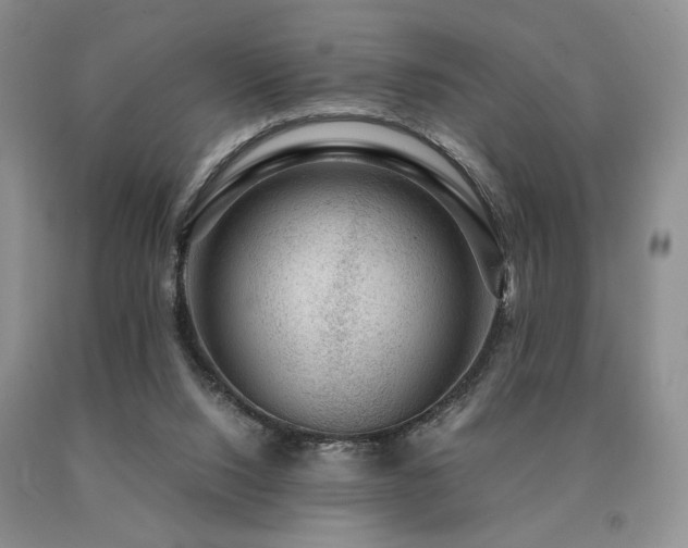 X0000091060064200708061250