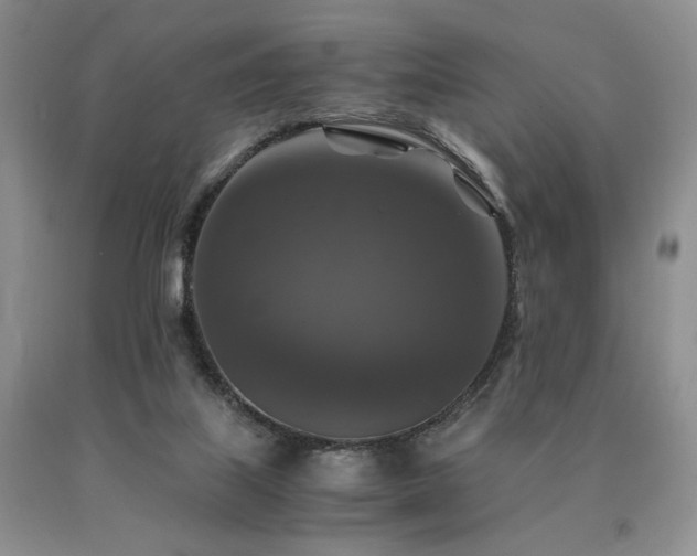 X0000091060067200708061250