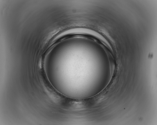 X0000091060068200708061250