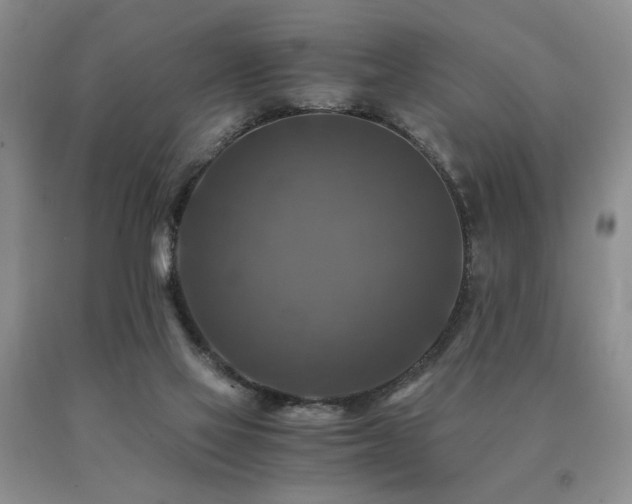 X0000091060069200708061250