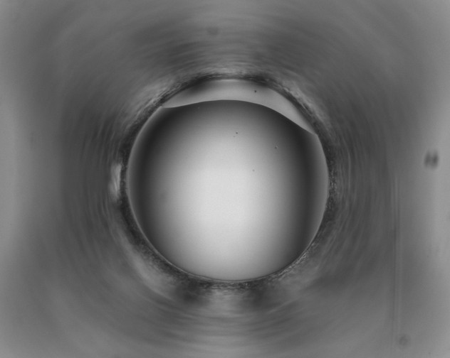X0000091060070200708061250