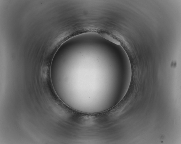 X0000091060071200708061250