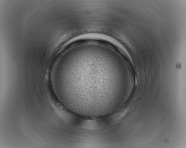 X0000091060072200708061250