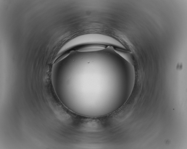 X0000091060073200708061250