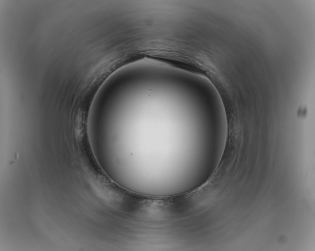 X0000091060074200708061250