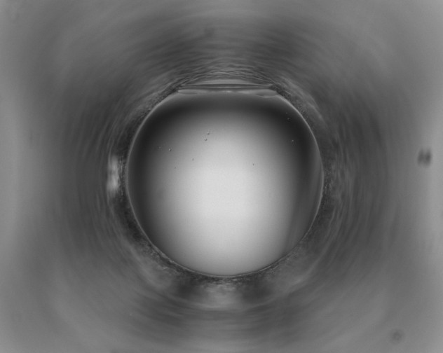 X0000091060075200708061250