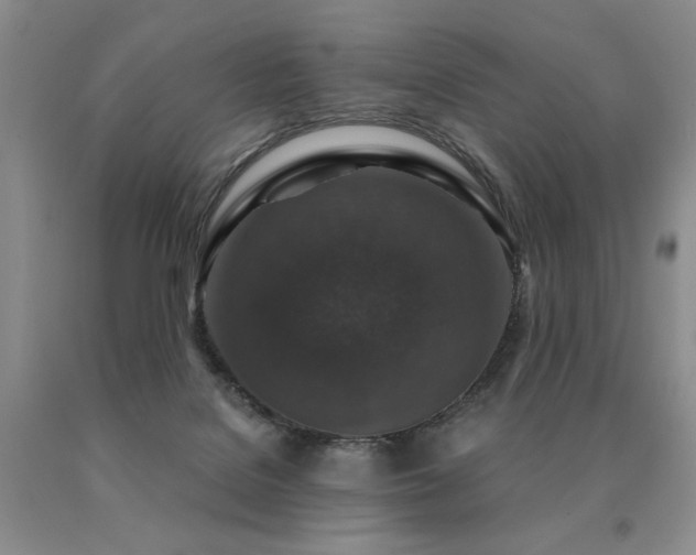 X0000091060076200708061250