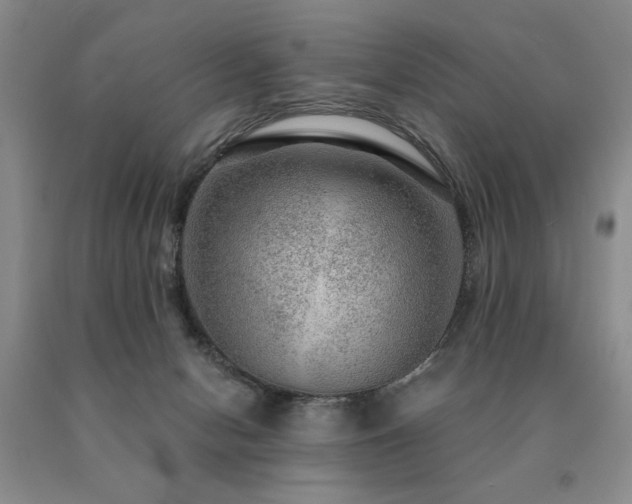 X0000091060078200708061250