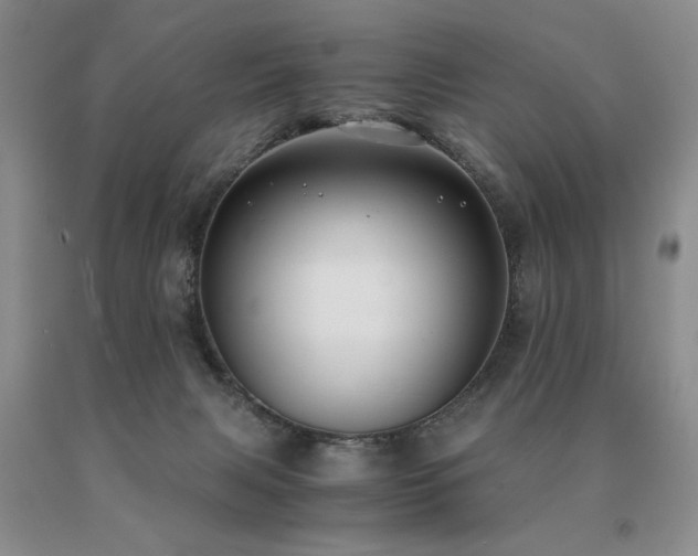 X0000091060079200708061250