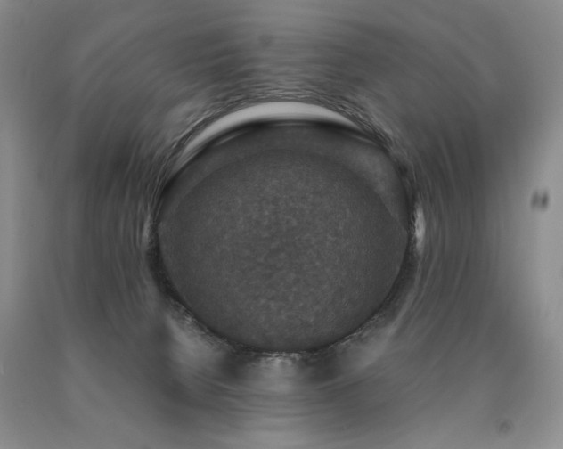 X0000091060080200708061250