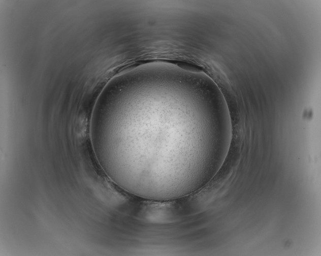 X0000091060081200708061250