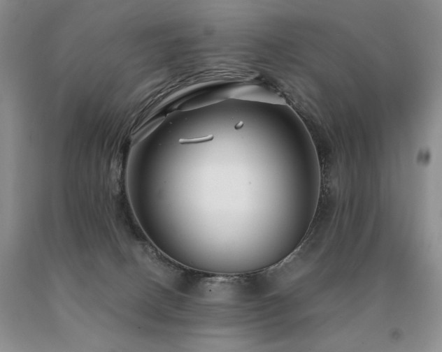 X0000091060082200708061250