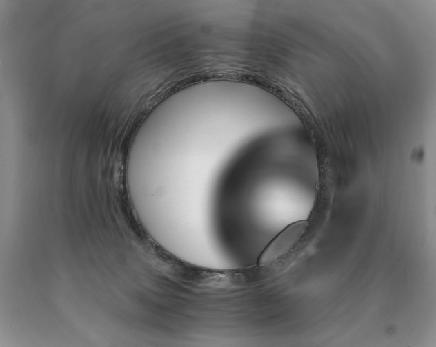 X0000091060083200708061250