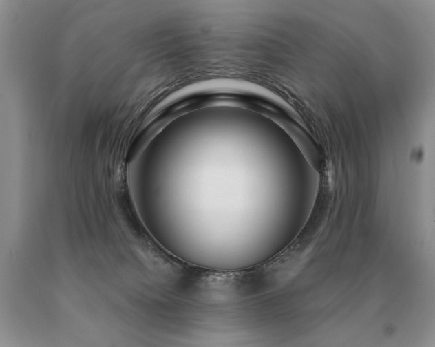 X0000091060084200708061250