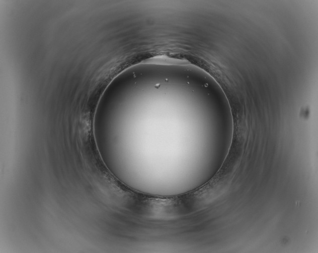 X0000091060085200708061250