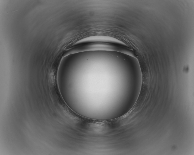 X0000091060086200708061250