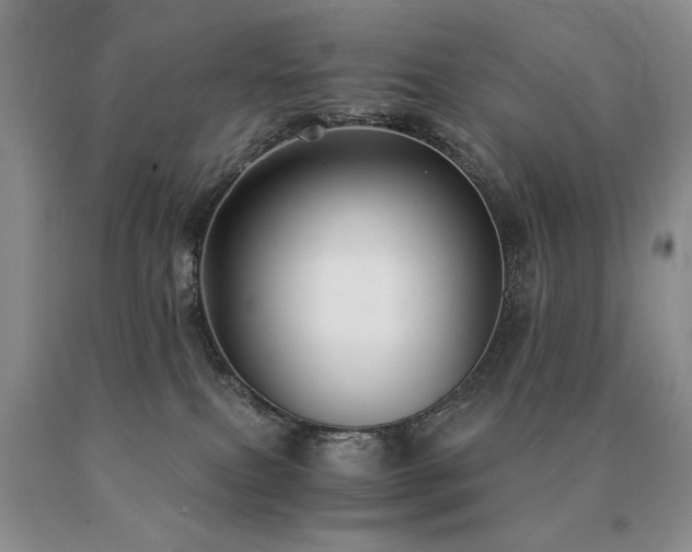 X0000091060087200708061250