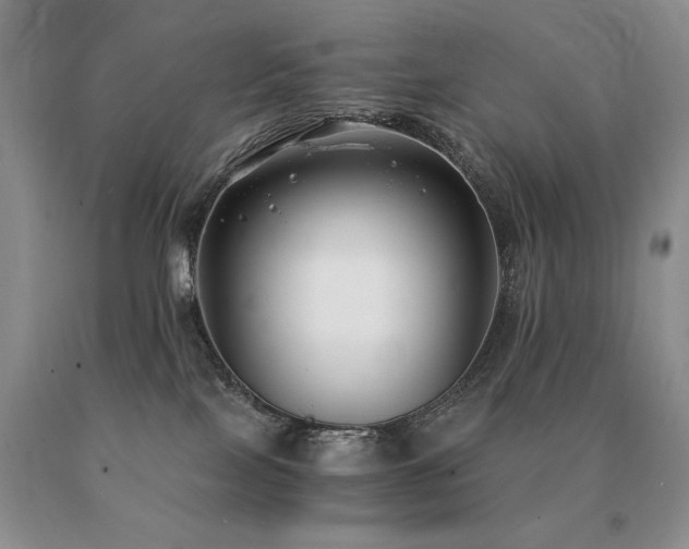 X0000091060089200708061250