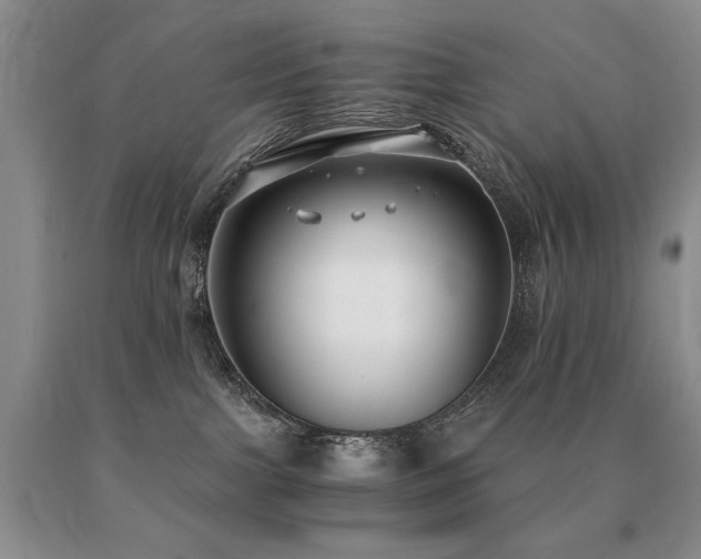 X0000091060091200708061250