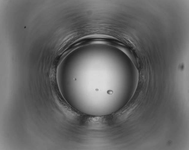 X0000091060092200708061250