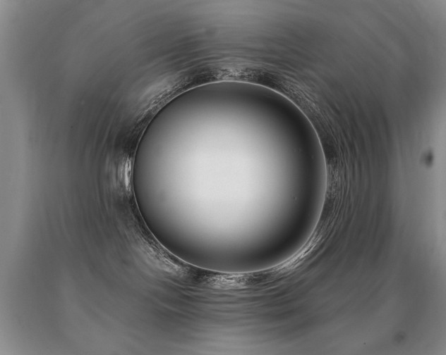 X0000091060094200708061251