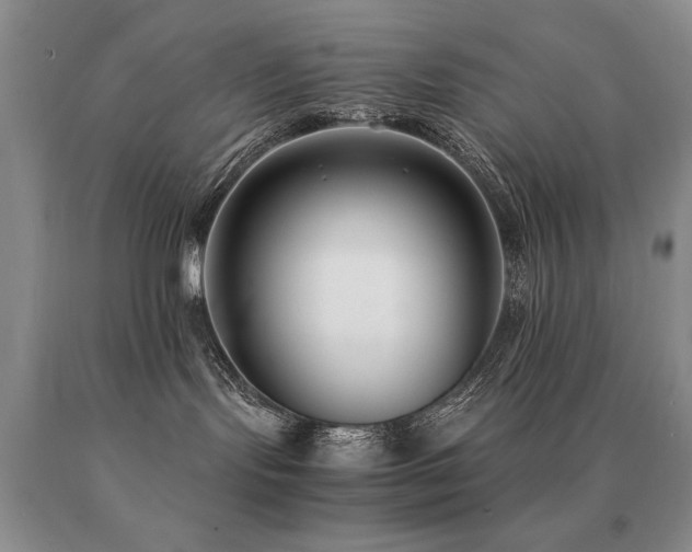 X0000091060095200708061251