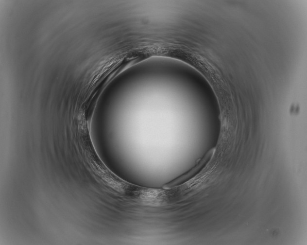 X0000091060096200708061251