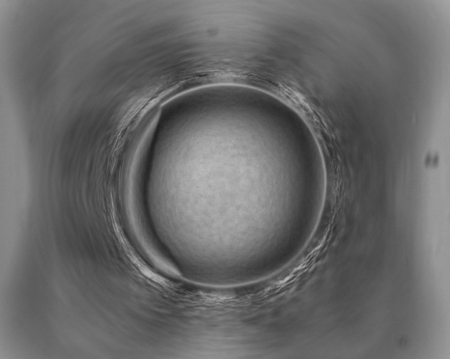 X0000091060097200708061250