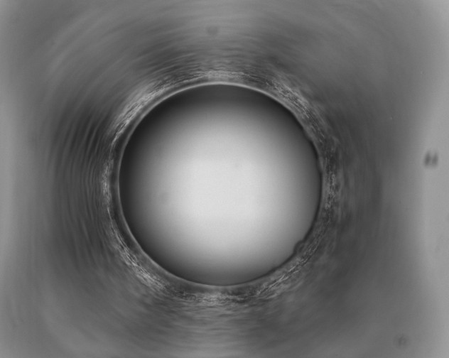 X0000091060098200708061250