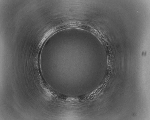 X0000091060099200708061250
