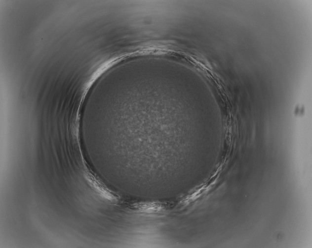 X0000091060100200708061250